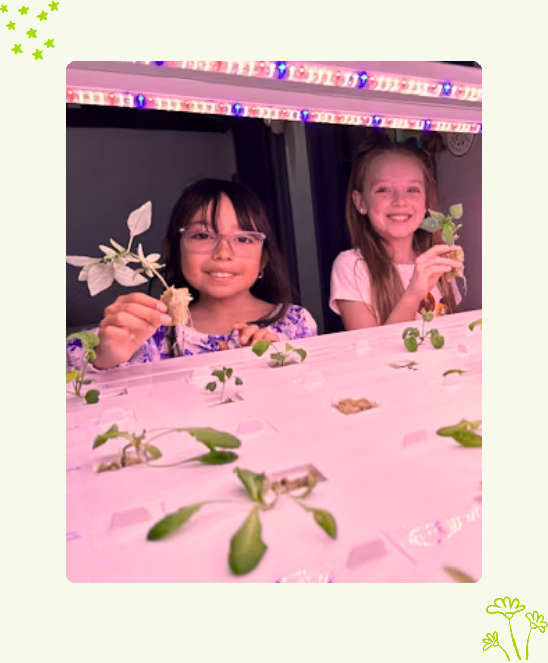 students learning STEM through hydroponics